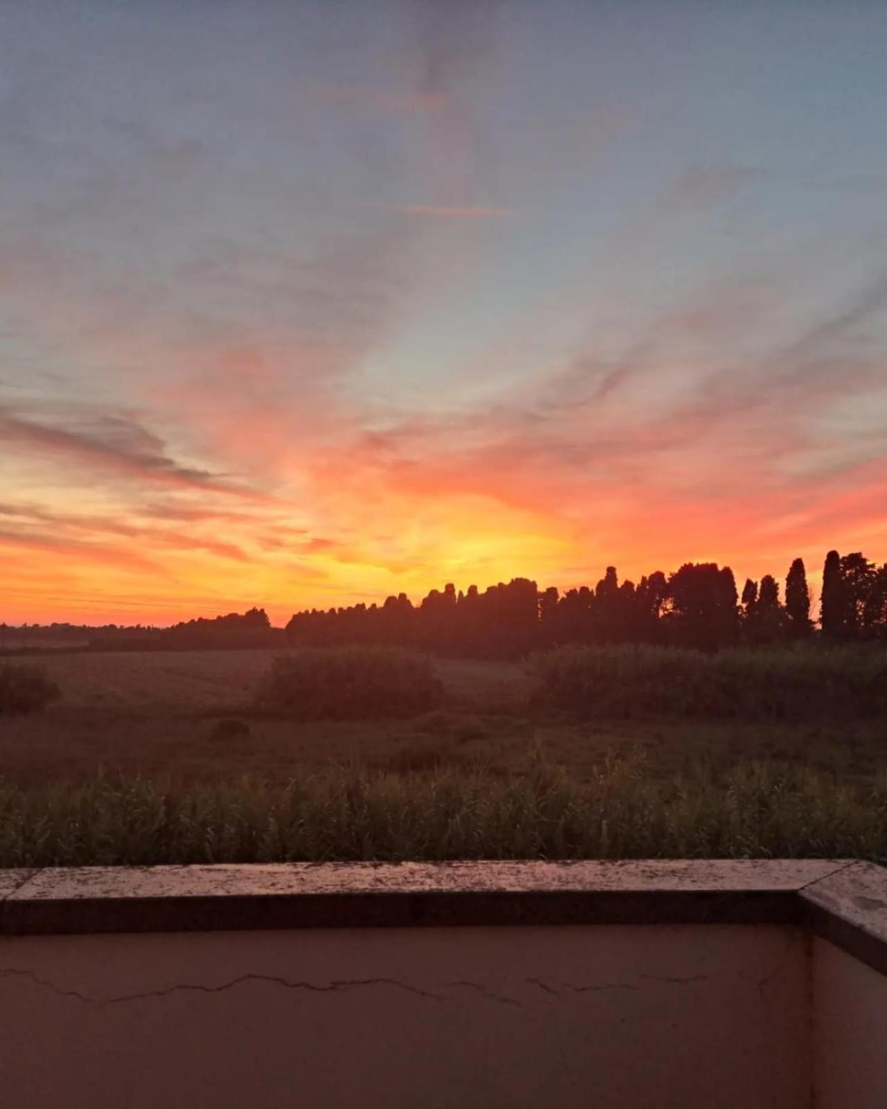 Appartamento Rosignano Marittimo Rosa Bianca Esterno foto