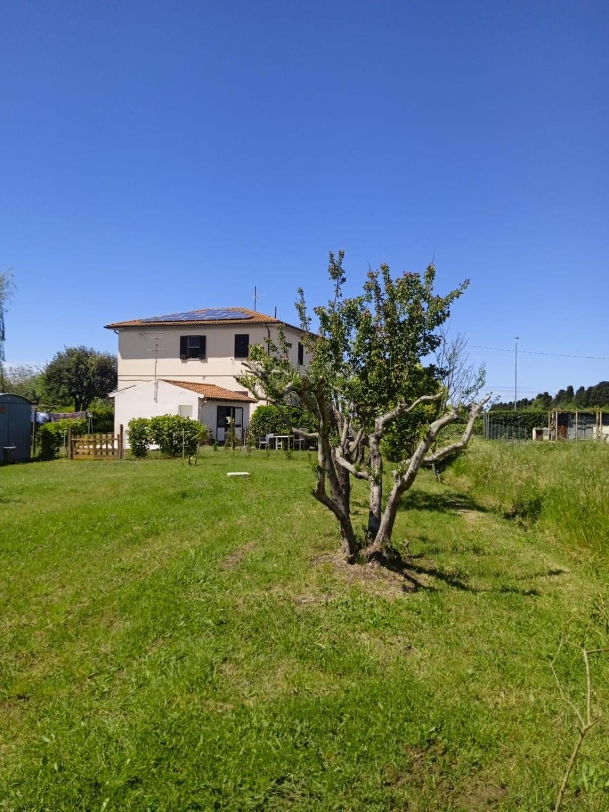 Appartamento Rosignano Marittimo Rosa Bianca Esterno foto